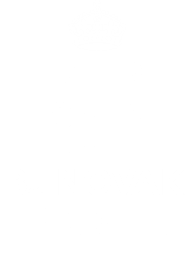 https://d1w8c6s6gmwlek.cloudfront.net/tshirtwarrior.com/overlays/312/008/31200852.png img