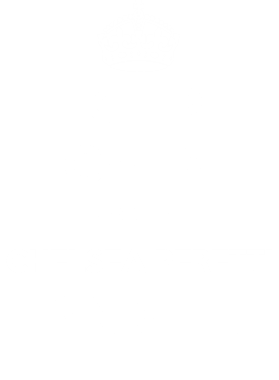 https://d1w8c6s6gmwlek.cloudfront.net/tshirtwarrior.com/overlays/312/012/31201226.png img