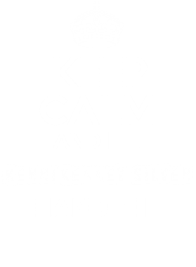 https://d1w8c6s6gmwlek.cloudfront.net/tshirtwarrior.com/overlays/312/016/31201666.png img