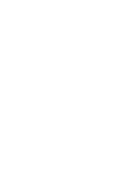 https://d1w8c6s6gmwlek.cloudfront.net/tshirtwarrior.com/overlays/312/020/31202062.png img