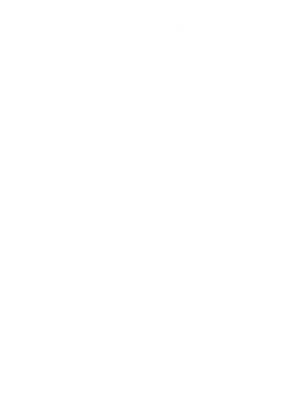 https://d1w8c6s6gmwlek.cloudfront.net/tshirtwarrior.com/overlays/312/025/31202521.png img