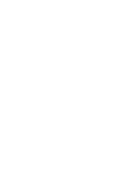 https://d1w8c6s6gmwlek.cloudfront.net/tshirtwarrior.com/overlays/312/029/31202939.png img