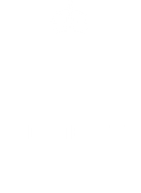 https://d1w8c6s6gmwlek.cloudfront.net/tshirtwarrior.com/overlays/312/033/31203364.png img
