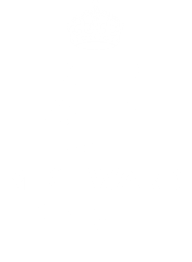 https://d1w8c6s6gmwlek.cloudfront.net/tshirtwarrior.com/overlays/312/040/31204009.png img