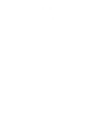https://d1w8c6s6gmwlek.cloudfront.net/tshirtwarrior.com/overlays/312/040/31204040.png img