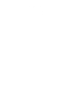 https://d1w8c6s6gmwlek.cloudfront.net/tshirtwarrior.com/overlays/312/042/31204274.png img