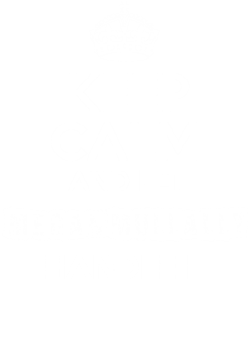 image overlay