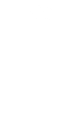 https://d1w8c6s6gmwlek.cloudfront.net/tshirtwarrior.com/overlays/312/051/31205114.png img