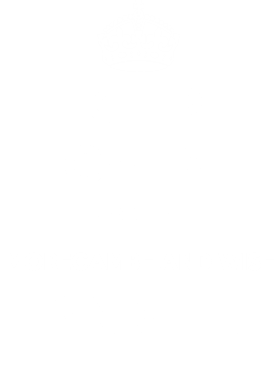 https://d1w8c6s6gmwlek.cloudfront.net/tshirtwarrior.com/overlays/312/051/31205173.png img