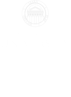 https://d1w8c6s6gmwlek.cloudfront.net/tshirtwarrior.com/overlays/316/287/31628793.png img