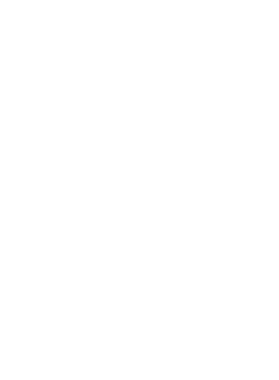 https://d1w8c6s6gmwlek.cloudfront.net/tshirtwarrior.com/overlays/347/987/34798781.png img