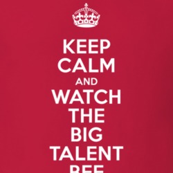 The Big Talent Bee Daniel Curtis Lee Judge TV Show I Can't Keep Calm Parody T Shirt 6335894