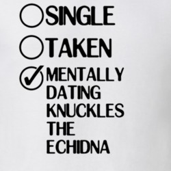 Single Taken Dating Knuckles the Echidna Sonic Underground T Shirt 6358527