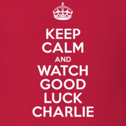 Good Luck Charlie Bradley Steven Perry Gabe Duncan TV Show I Can't Keep Calm Parody T Shirt 6408333