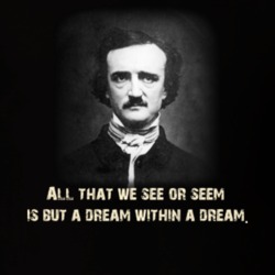 Edgar Allen Poe Writer Horror Gothic Quote T Shirt 212718