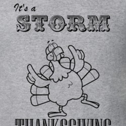 Its a Storm Thanksgiving Name Parody Funny T Shirt 32864680