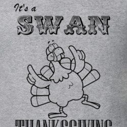Its a Swan Thanksgiving Name Parody Funny T Shirt 32865044