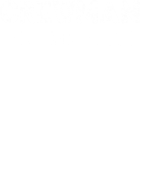 https://d1w8c6s6gmwlek.cloudfront.net/usstshirts.com/overlays/700/442/7004424.png img