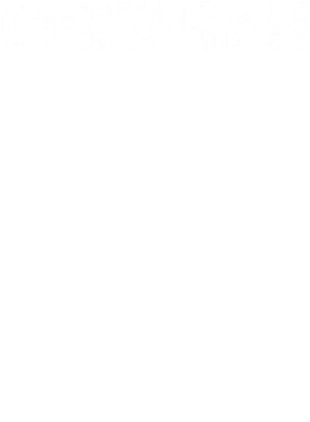 https://d1w8c6s6gmwlek.cloudfront.net/usstshirts.com/overlays/700/818/7008183.png img