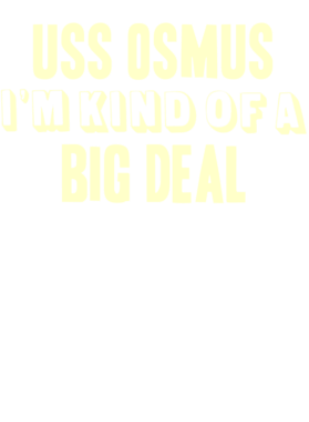 https://d1w8c6s6gmwlek.cloudfront.net/usstshirts.com/overlays/708/462/7084622.png img
