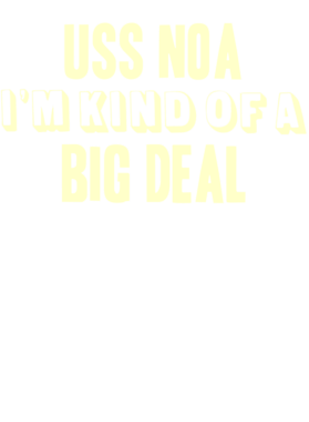 https://d1w8c6s6gmwlek.cloudfront.net/usstshirts.com/overlays/708/491/7084916.png img