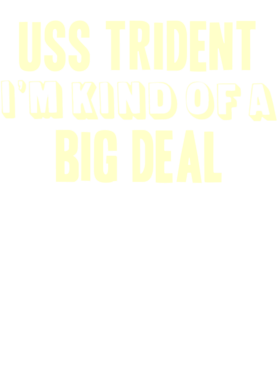 https://d1w8c6s6gmwlek.cloudfront.net/usstshirts.com/overlays/708/594/7085941.png img