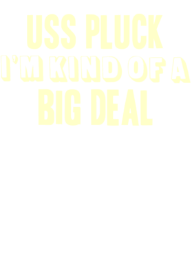 https://d1w8c6s6gmwlek.cloudfront.net/usstshirts.com/overlays/708/600/7086006.png img