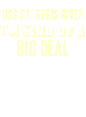 https://d1w8c6s6gmwlek.cloudfront.net/usstshirts.com/overlays/708/635/7086356.png img