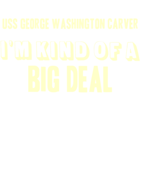 https://d1w8c6s6gmwlek.cloudfront.net/usstshirts.com/overlays/708/794/7087948.png img