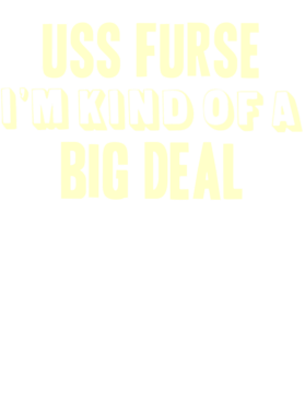 https://d1w8c6s6gmwlek.cloudfront.net/usstshirts.com/overlays/708/899/7088992.png img