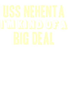 https://d1w8c6s6gmwlek.cloudfront.net/usstshirts.com/overlays/708/981/7089810.png img