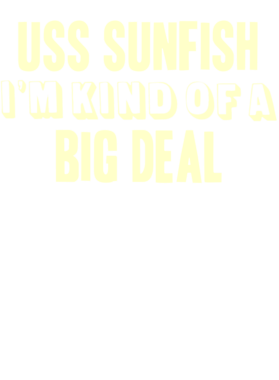 https://d1w8c6s6gmwlek.cloudfront.net/usstshirts.com/overlays/709/226/7092262.png img