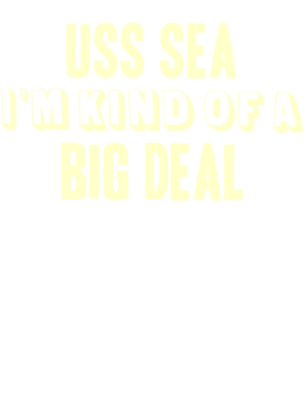 https://d1w8c6s6gmwlek.cloudfront.net/usstshirts.com/overlays/709/259/7092593.png img