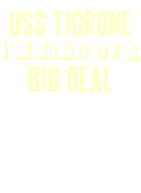https://d1w8c6s6gmwlek.cloudfront.net/usstshirts.com/overlays/709/264/7092648.png img