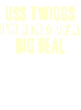 https://d1w8c6s6gmwlek.cloudfront.net/usstshirts.com/overlays/709/277/7092771.png img