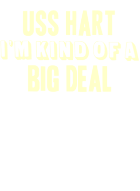 https://d1w8c6s6gmwlek.cloudfront.net/usstshirts.com/overlays/709/638/7096388.png img
