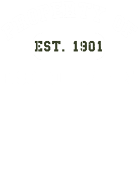 https://d1w8c6s6gmwlek.cloudfront.net/usstshirts.com/overlays/709/691/7096916.png img