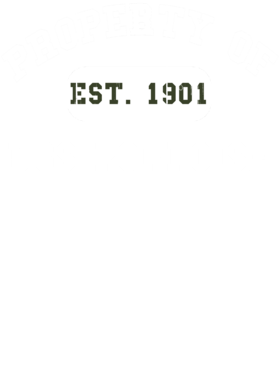 https://d1w8c6s6gmwlek.cloudfront.net/usstshirts.com/overlays/709/694/7096942.png img