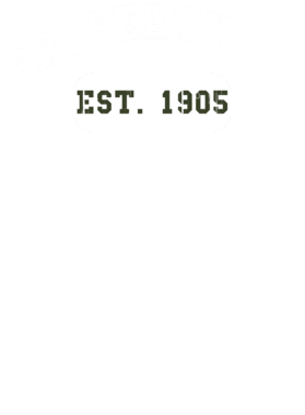 https://d1w8c6s6gmwlek.cloudfront.net/usstshirts.com/overlays/710/080/7100803.png img