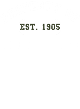 https://d1w8c6s6gmwlek.cloudfront.net/usstshirts.com/overlays/710/371/7103714.png img