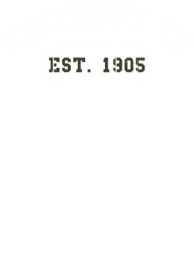https://d1w8c6s6gmwlek.cloudfront.net/usstshirts.com/overlays/710/598/7105985.png img