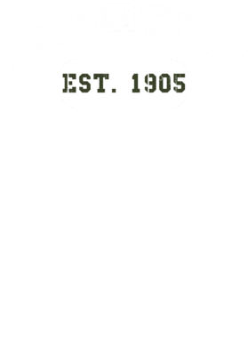 https://d1w8c6s6gmwlek.cloudfront.net/usstshirts.com/overlays/710/604/7106041.png img