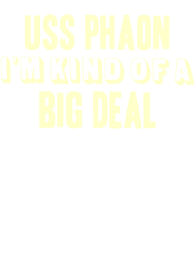https://d1w8c6s6gmwlek.cloudfront.net/usstshirts.com/overlays/710/684/7106840.png img