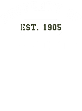 https://d1w8c6s6gmwlek.cloudfront.net/usstshirts.com/overlays/710/689/7106897.png img
