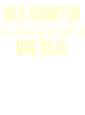 https://d1w8c6s6gmwlek.cloudfront.net/usstshirts.com/overlays/710/691/7106916.png img