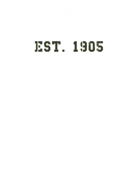 https://d1w8c6s6gmwlek.cloudfront.net/usstshirts.com/overlays/710/693/7106933.png img