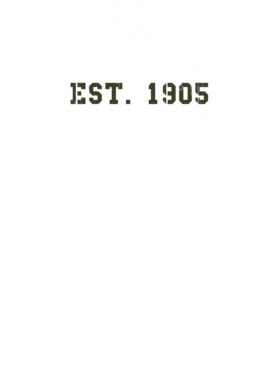 https://d1w8c6s6gmwlek.cloudfront.net/usstshirts.com/overlays/710/696/7106968.png img