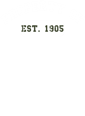 https://d1w8c6s6gmwlek.cloudfront.net/usstshirts.com/overlays/710/703/7107034.png img