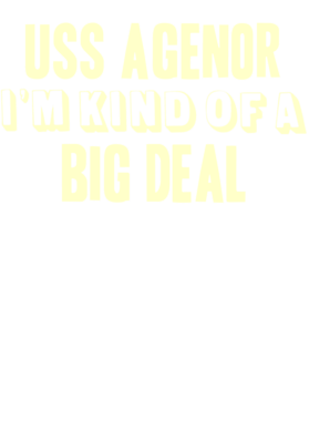 https://d1w8c6s6gmwlek.cloudfront.net/usstshirts.com/overlays/710/707/7107076.png img
