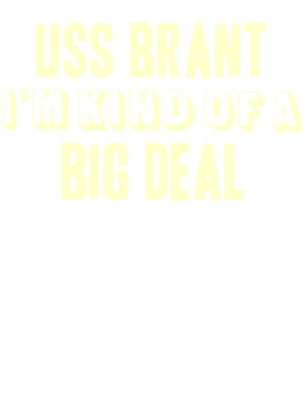 https://d1w8c6s6gmwlek.cloudfront.net/usstshirts.com/overlays/710/818/7108184.png img